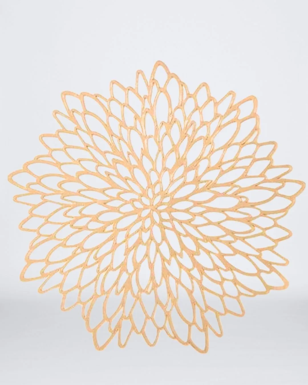 SET X12 TAPETE INDIVIDUAL DE PLÁSTICO