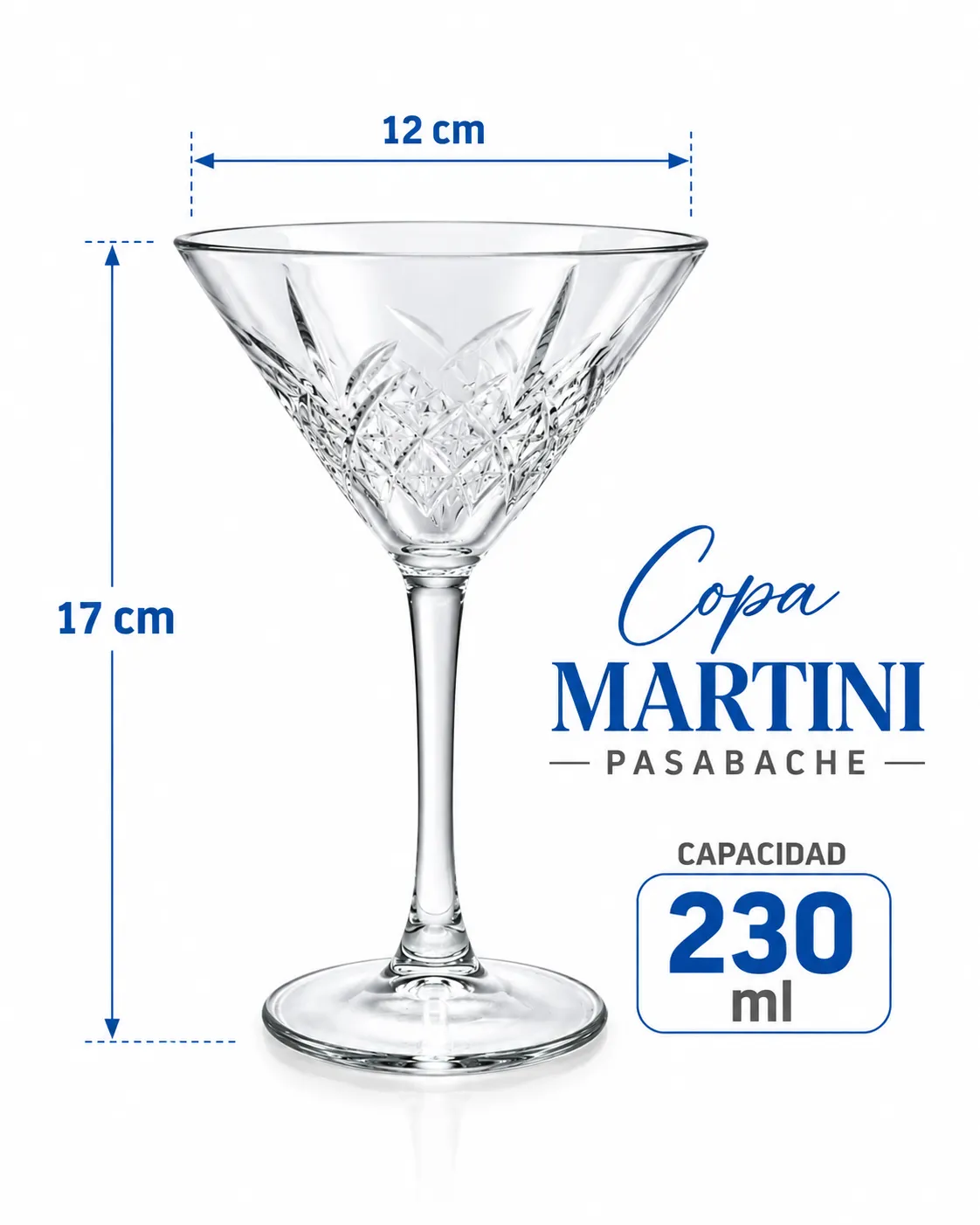 COPA MARTINI PASABACHE - imagen 2